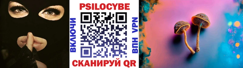 купить  сайты  Сольвычегодск  Псилоцибиновые грибы MAGIC MUSHROOMS 